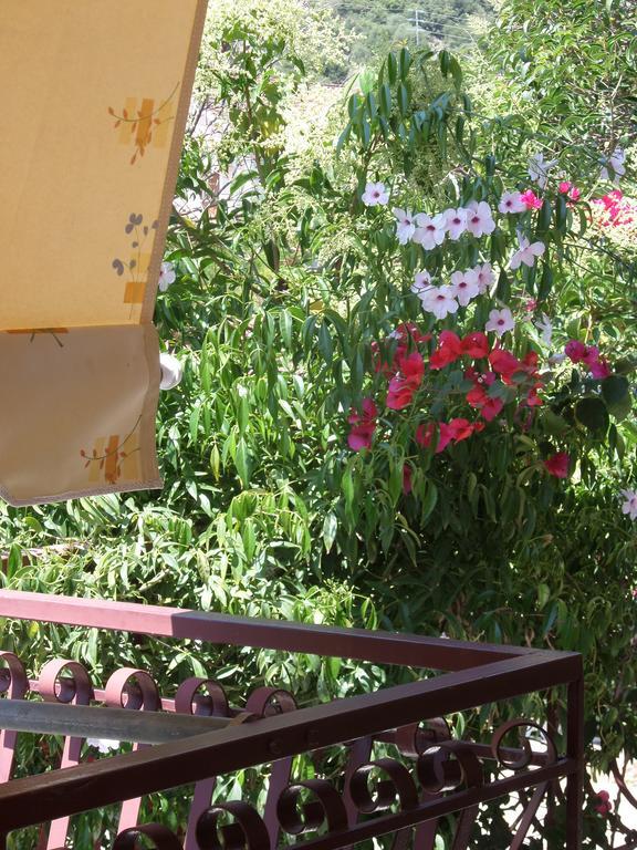Stamoulis Apartments Agia Efimia Exterior photo
